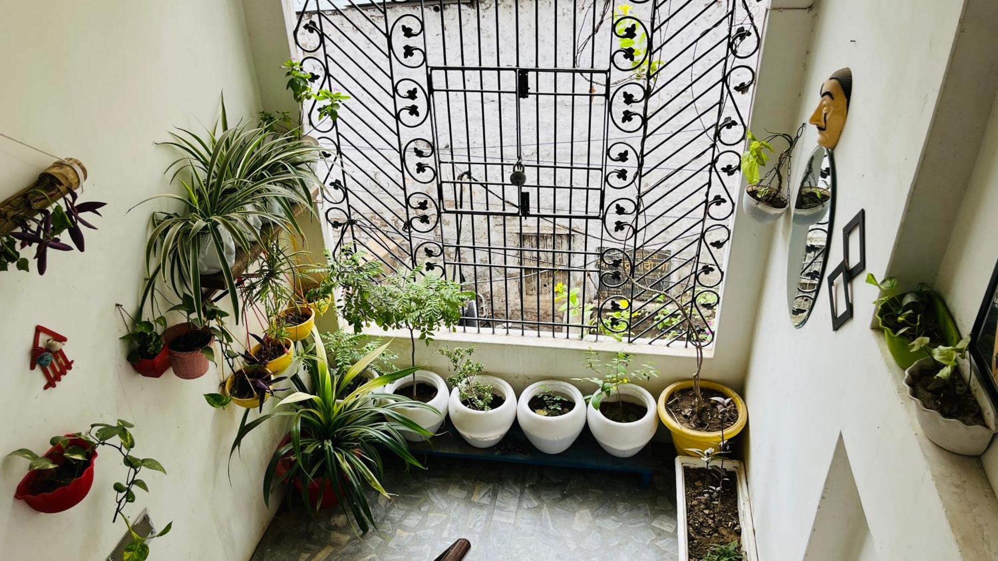 Hostel El Profesor